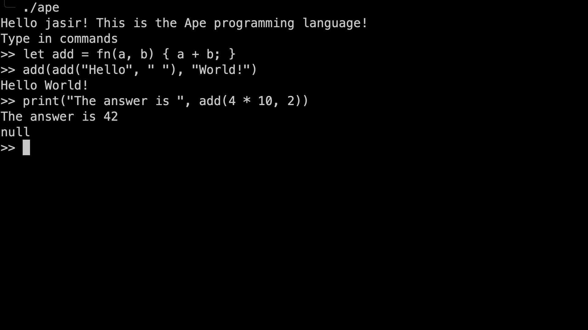 Screenshot of the Ape Repl